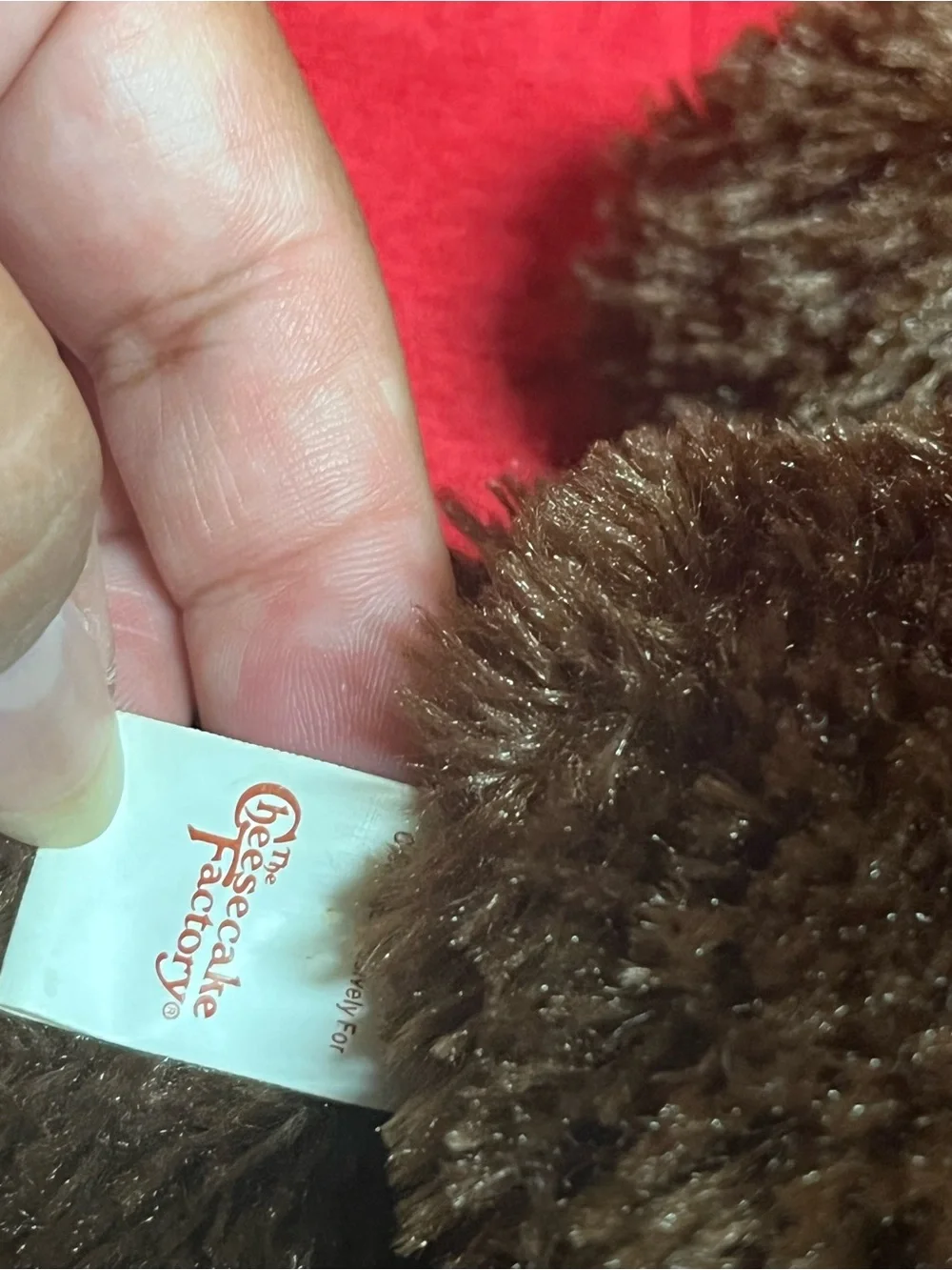 2008 30th Anniversary Cheesecake Factory Teddy Bear special edition - Picture 4 of 10